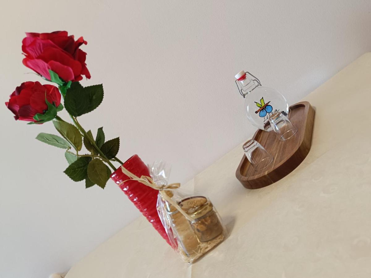 Apartman Ante Gospić Buitenkant foto